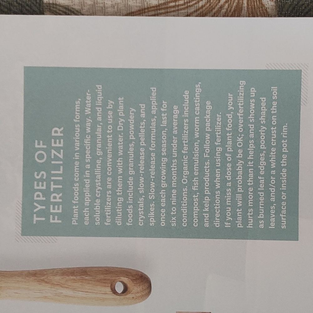 MAGAZINE: HOUSEPLANTS - Picture 8 of 15